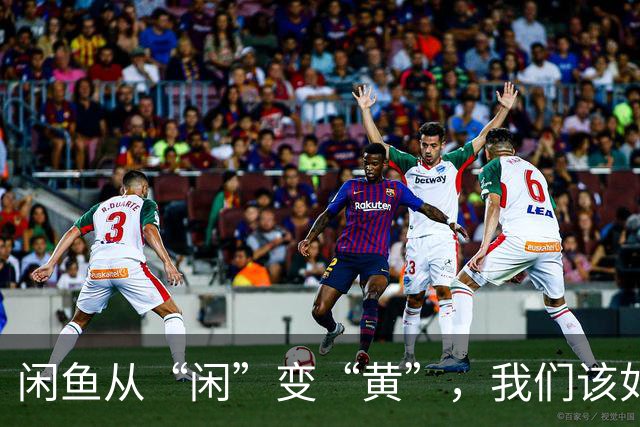 闲鱼从“闲”变“黄”，我们该如何挽回信任？
